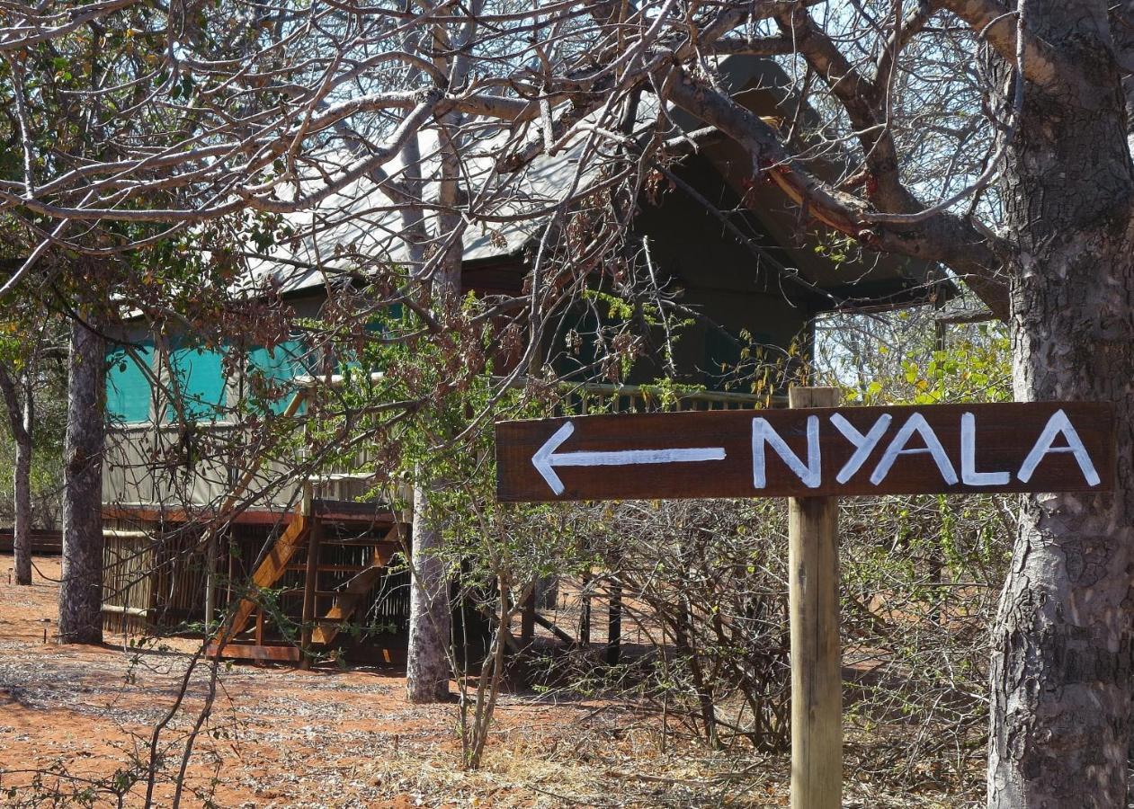 Iphofolo Lodge & Tented Camp Vivo Buitenkant foto