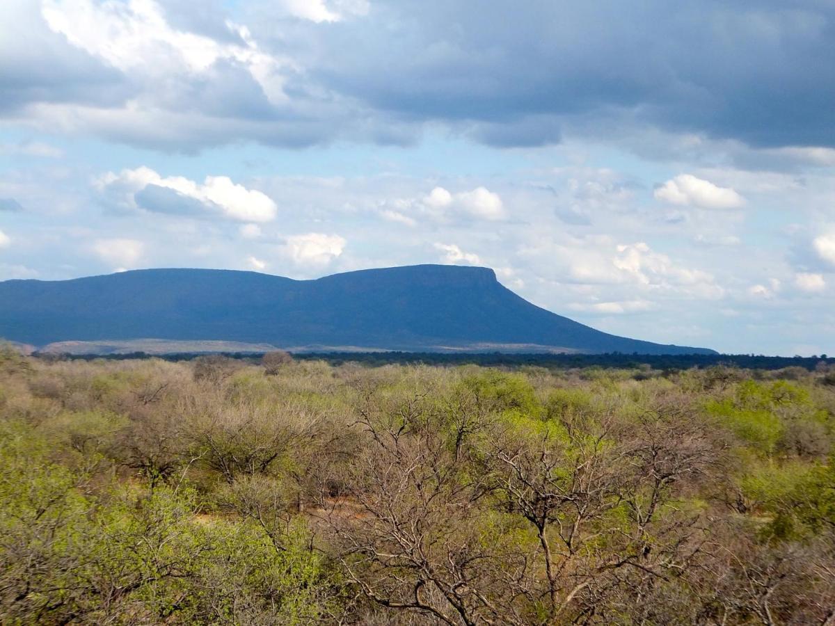 Iphofolo Lodge & Tented Camp Vivo Buitenkant foto