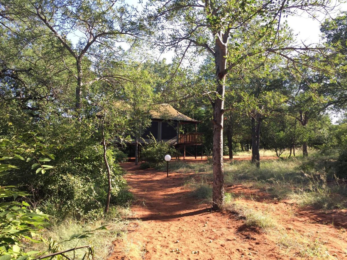 Iphofolo Lodge & Tented Camp Vivo Buitenkant foto