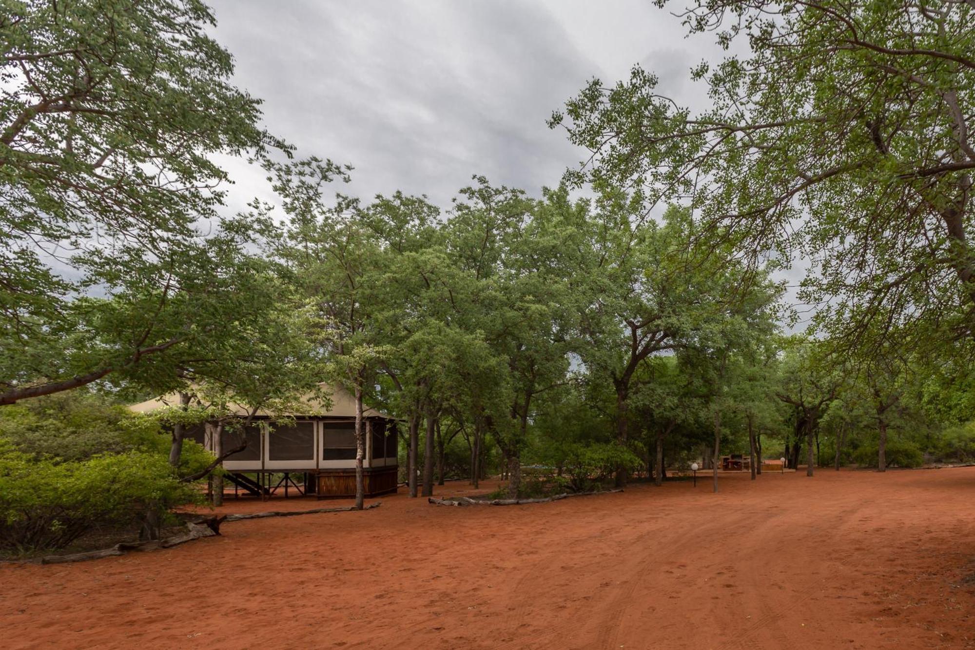 Iphofolo Lodge & Tented Camp Vivo Buitenkant foto