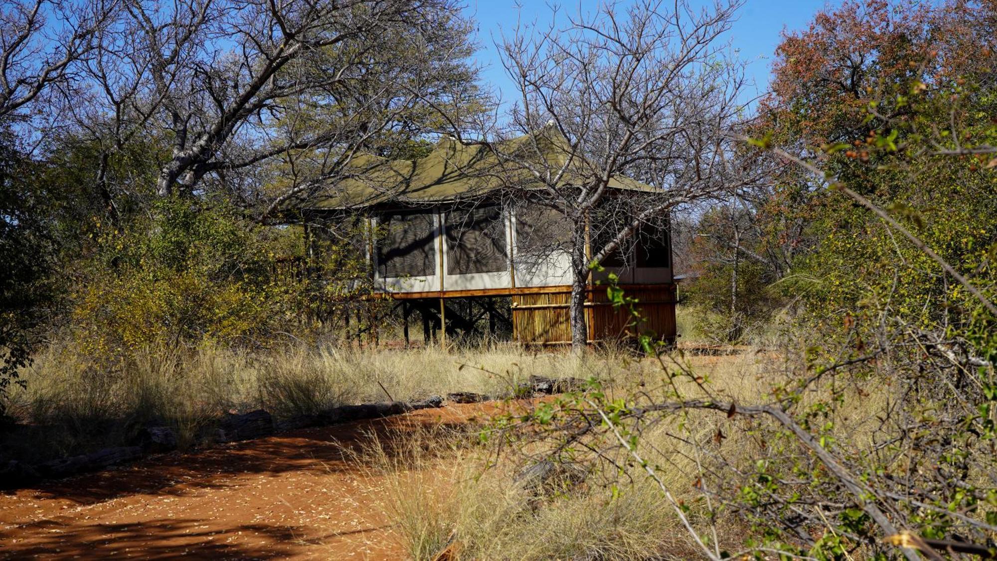 Iphofolo Lodge & Tented Camp Vivo Buitenkant foto